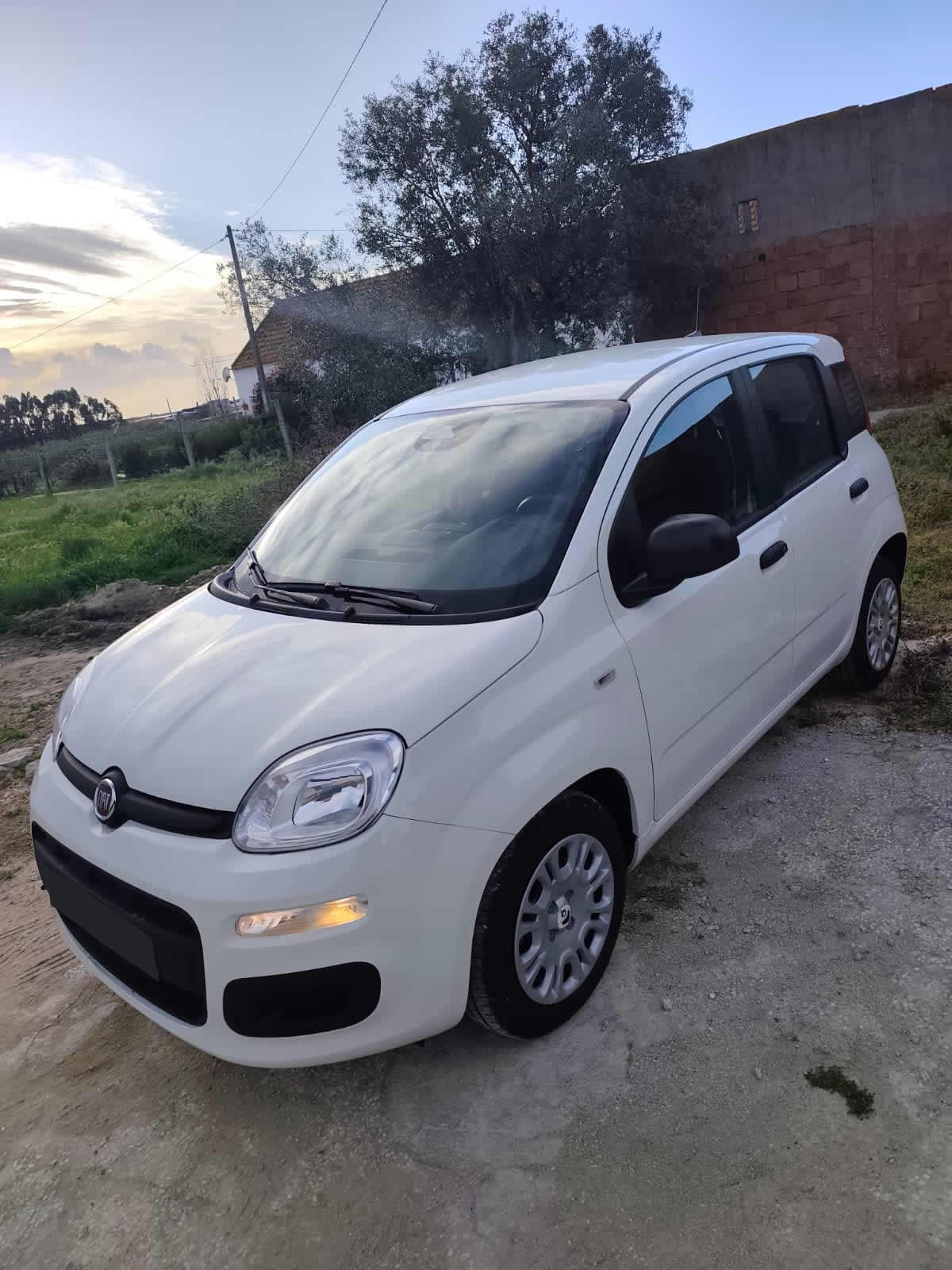 Fiat Panda 1.0 Hybrid Pandina