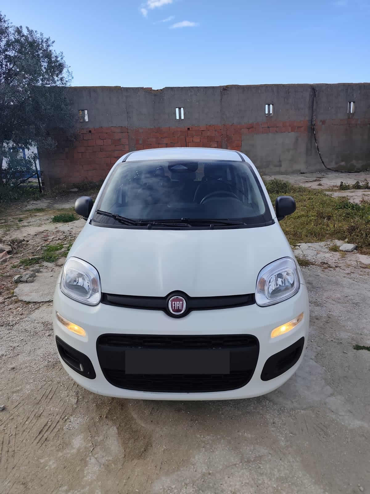 Fiat Panda 1.0 Hybrid Pandina