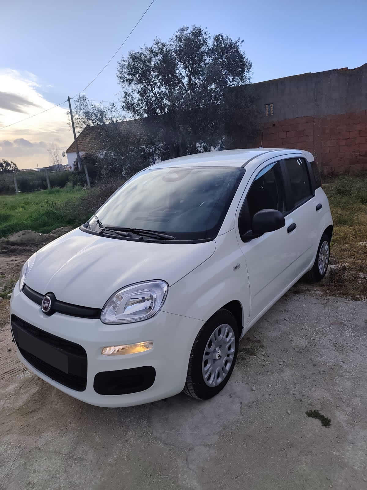 Fiat Panda 1.0 Hybrid Pandina